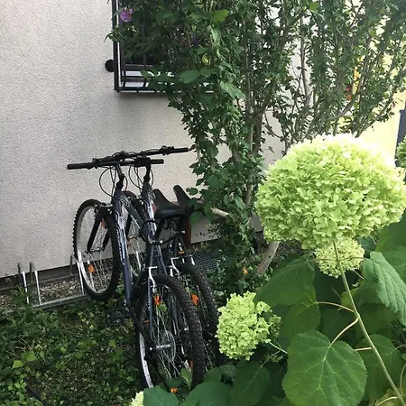 Dachgeschoss In Einem Reihenhaus * هايدلبرغ
